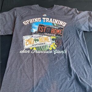 Majestic Charcoal Training Tee with Vibrant Graphics